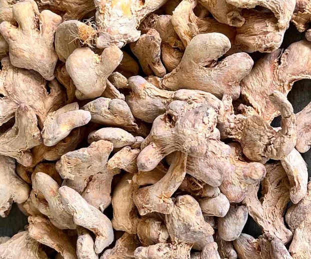 زنجبیل خشک برای لاغری