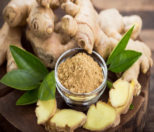 طرز تهیه روغن زنجبیل در طب سنتی