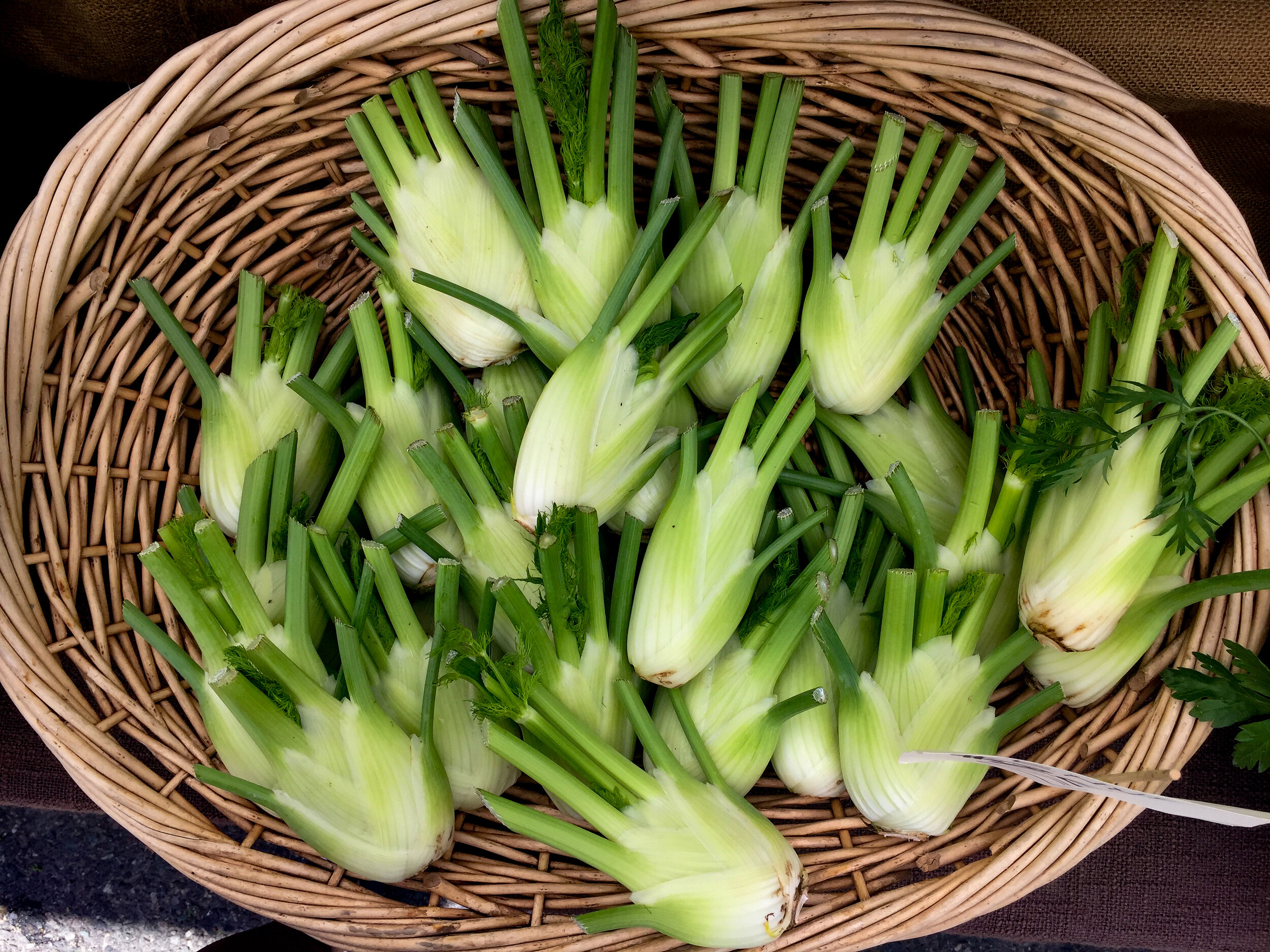 عوارض احتمالی رازیانه