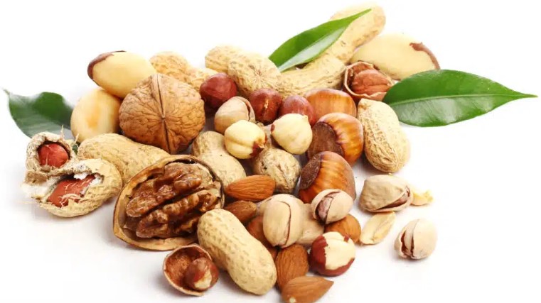 تأثیر طبع مغزیجات بر بدن