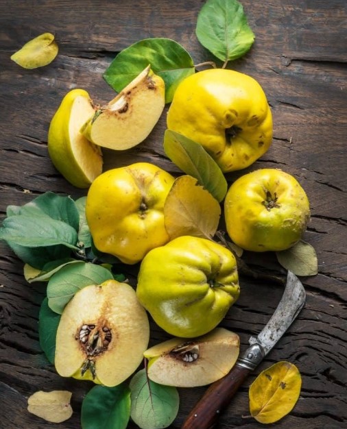 دمنوش به برای بارداری