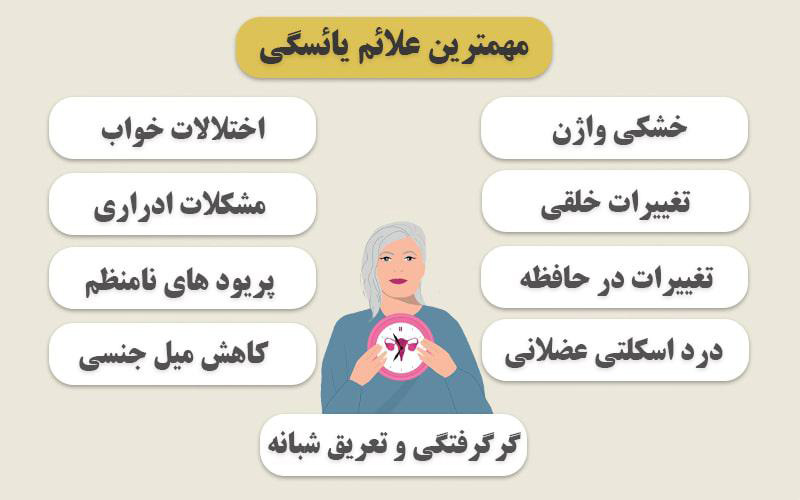 کدام مواد غذایی علائم یائسگی را بهبود می بخشند
