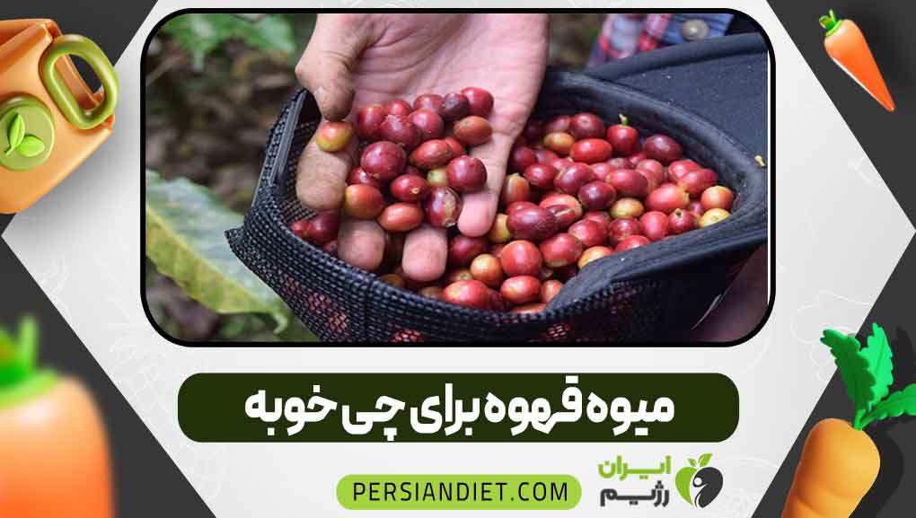 میوه قهوه برای چی خوبه
