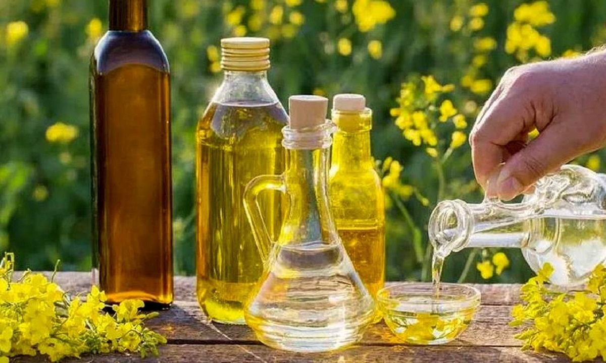 روغن مخصوص رژیم لاغری