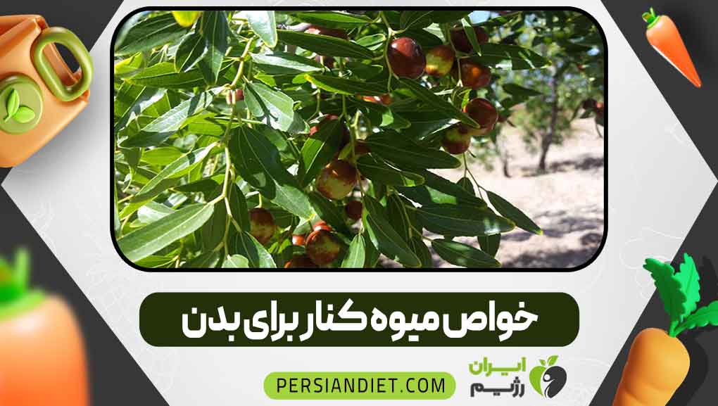 خواص میوه کنار برای بدن