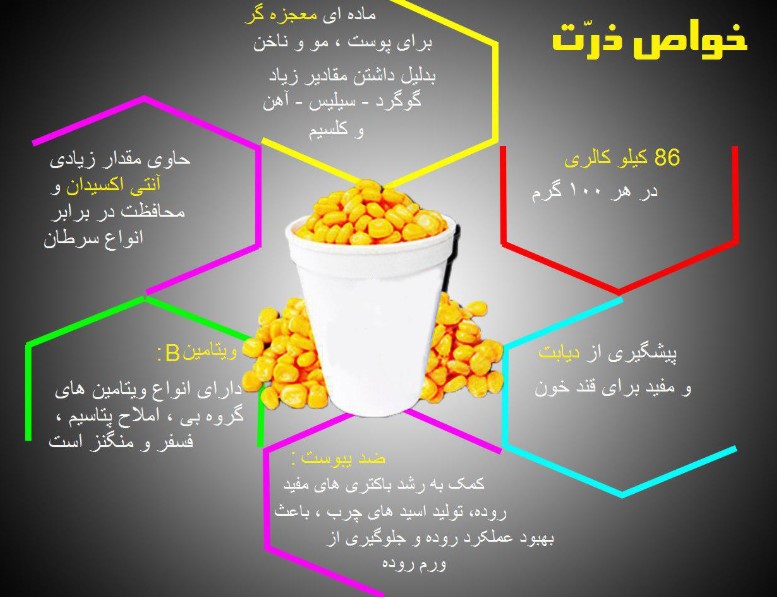 خواص ذرت مکزیکی آب پز _ دکتر ایرانی خواص ذرت مکزیکی آب پز
