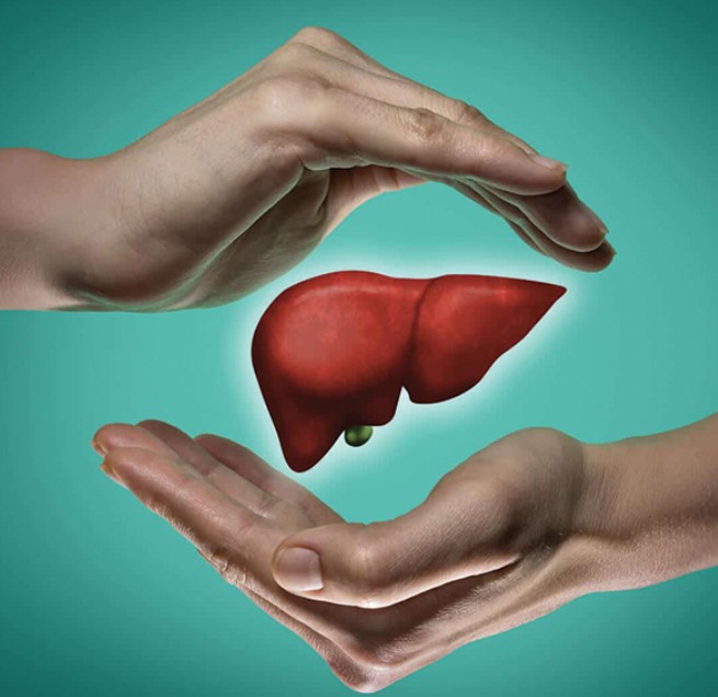 غذاهای مفید برای کبد چرب