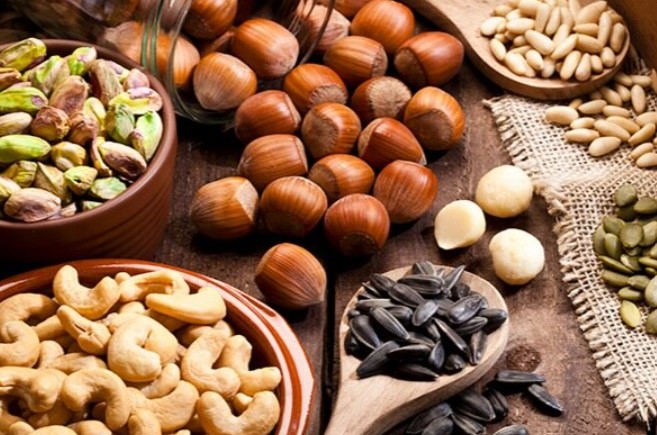 بهترین مغز برای تقویت حافظه