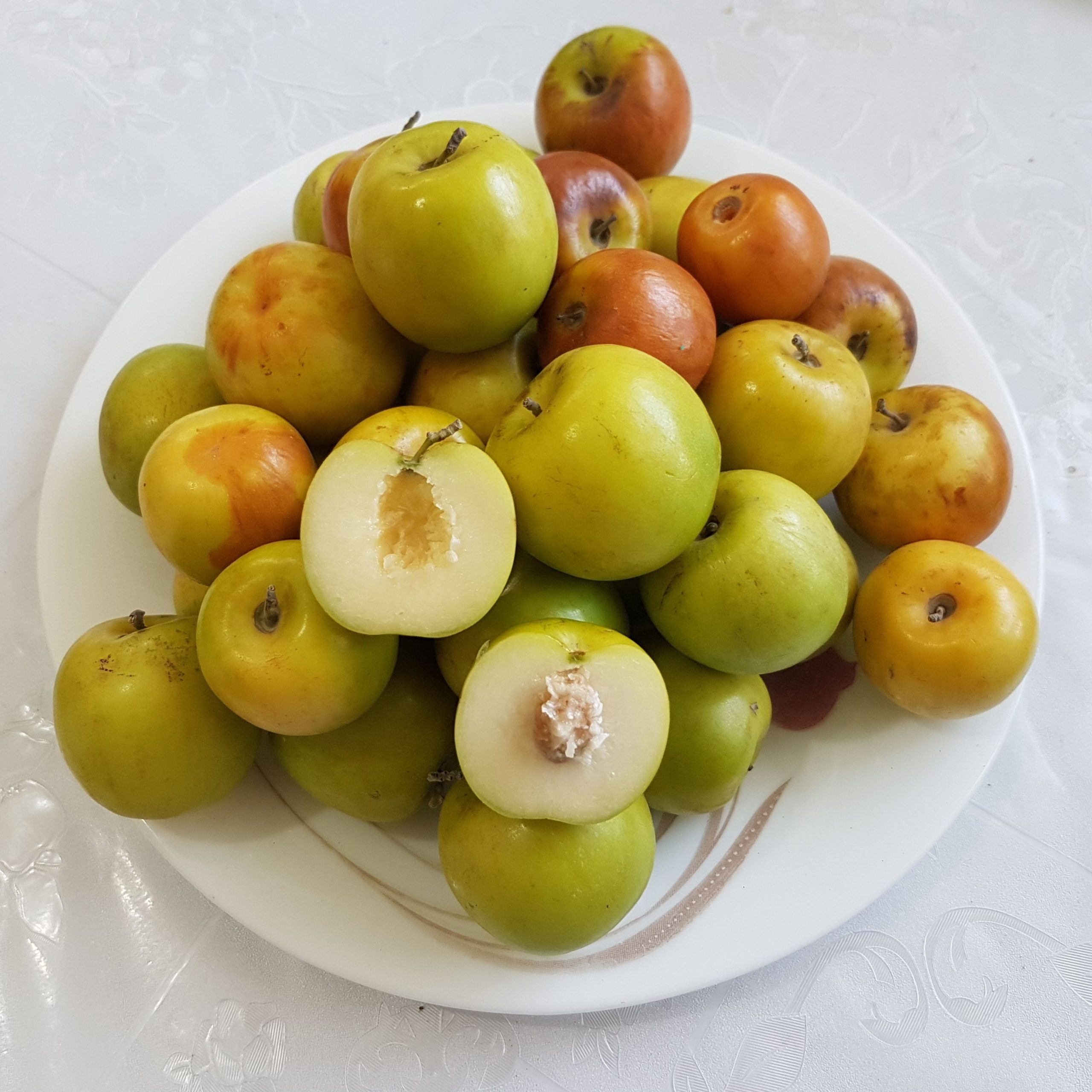 خواص میوه کنار برای کودکان