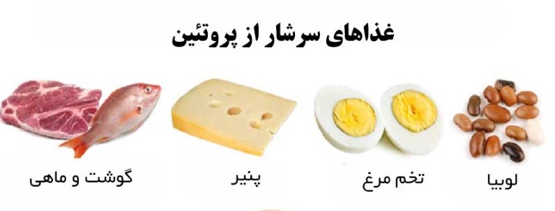 غذای بدنسازان
