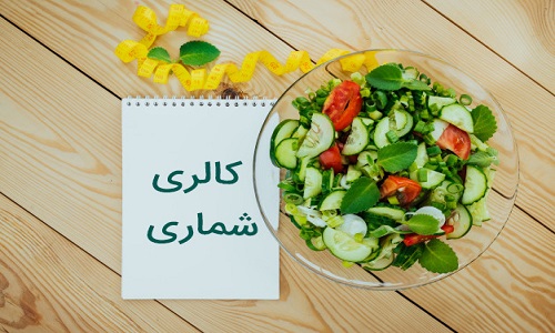 برنامه رژیم کالری شماری برنامه رژیم کالری شماری