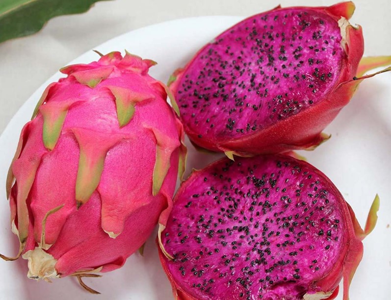 طبع میوه دراگون طبع میوه دراگون