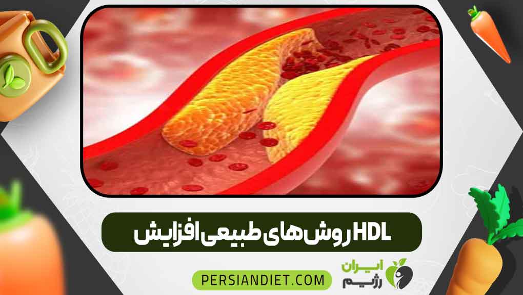 روشهای طبیعی افزایش HDL _ ایران رژیم روشهای طبیعی افزایش HDL