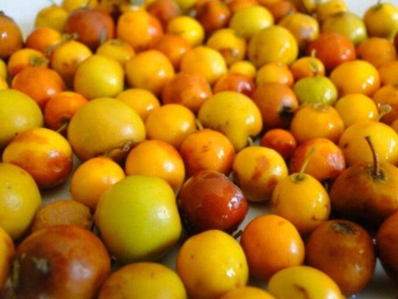 خواص برگ میوه کنار