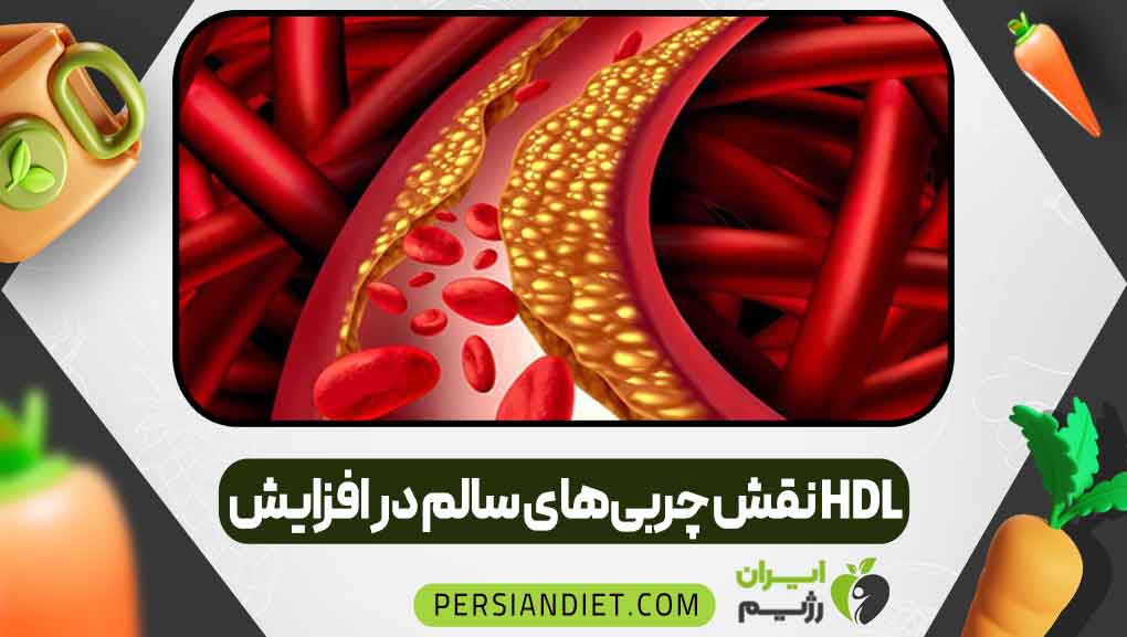 نقش چربیهای سالم در افزایش HDL _ ایران رژیم نقش چربیهای سالم در افزایش HDL