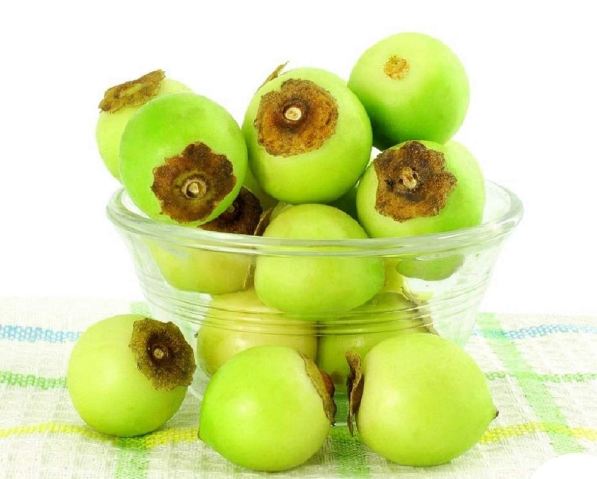 مضرات سپستان