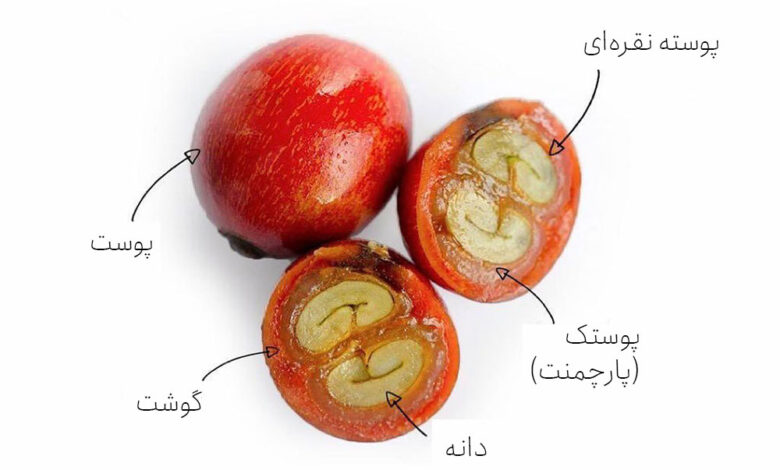 گیلاس قهوه