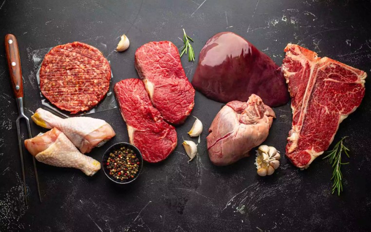 برنامه رژیم carnivore