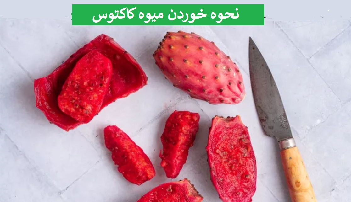 میوه کاکتوس را چگونه بخوریم میوه کاکتوس را چگونه بخوریم