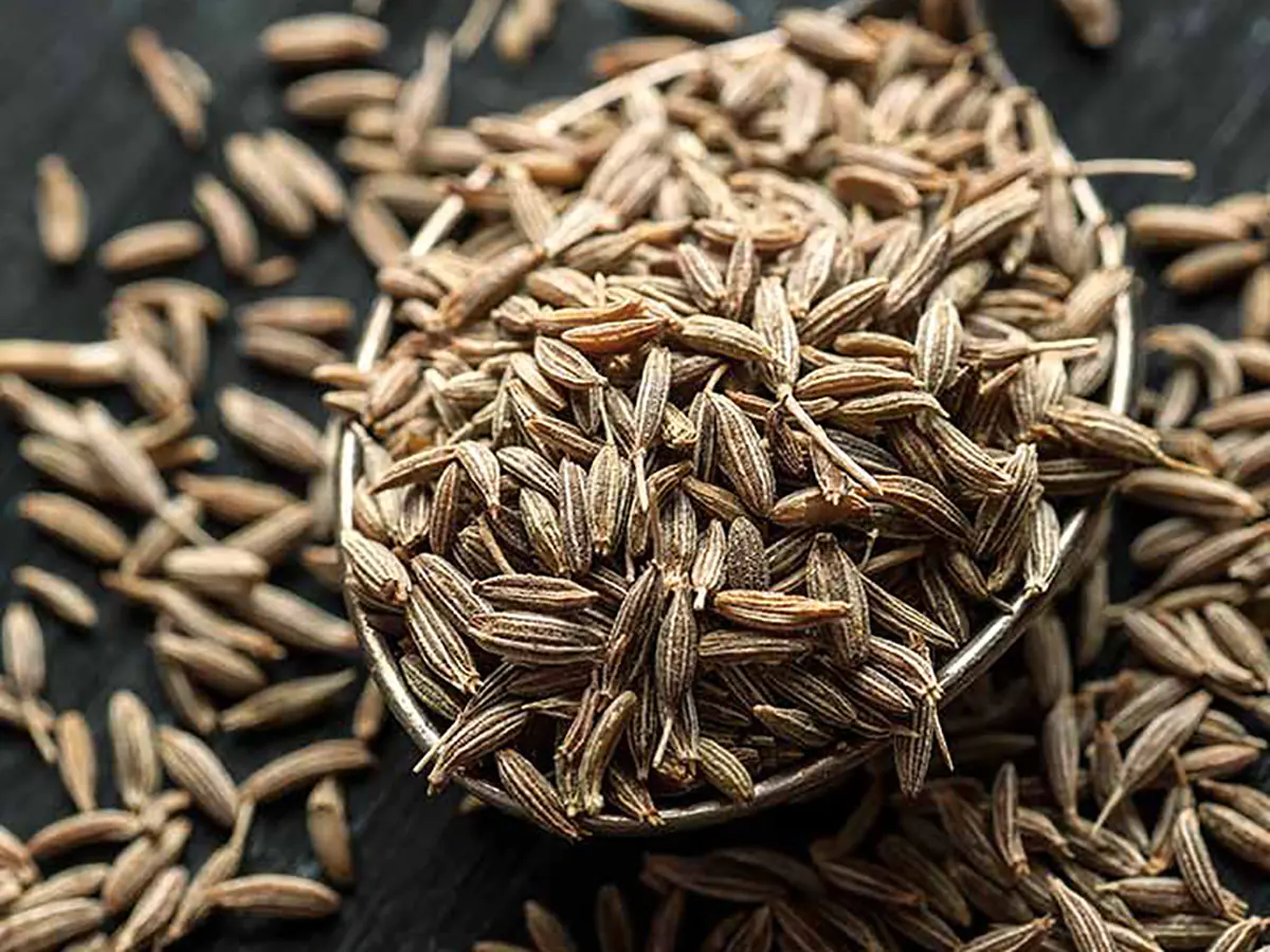 چهار راه مصرف پودر زنیان برای لاغری