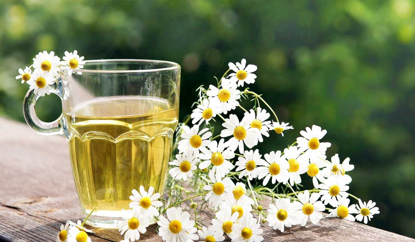 خواص عرق بابونه برای رحم