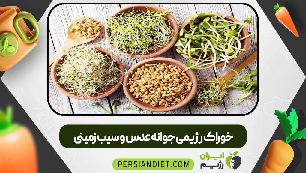 خوراک رژیمی جوانه عدس و سیب زمینی