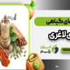 دارو های گیاهی برای لاغری