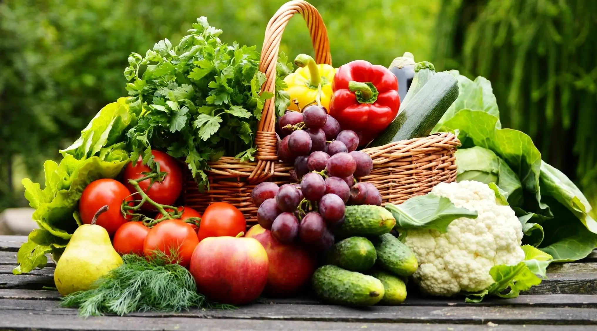 غذاهای مفید برای زخم معده