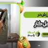 ورزش در محل کار