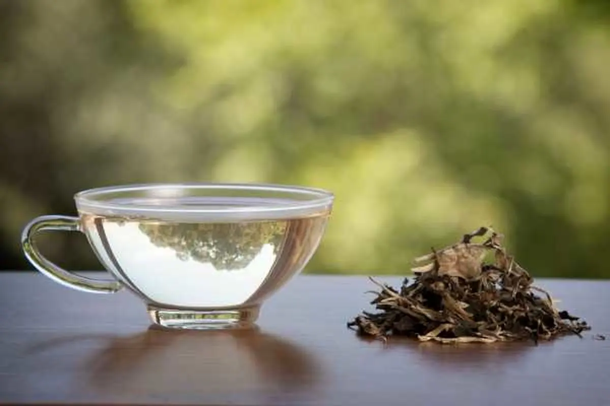 روش مصرف چای سفید