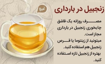 عرق زنجبیل در بارداری