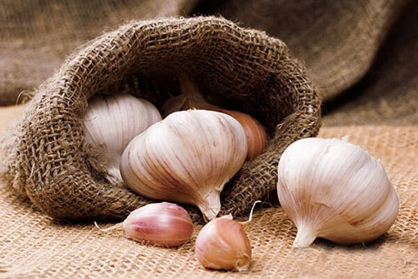 سیر برای کراتین بالا