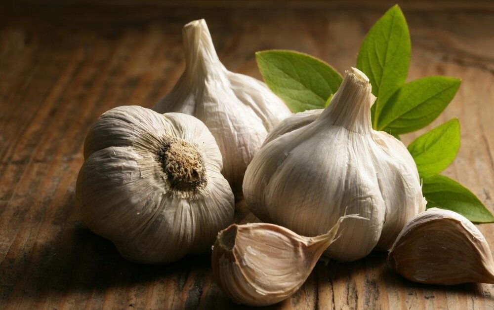 سیر برای پوست
