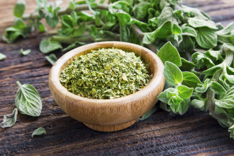 عرق پونه در بارداری