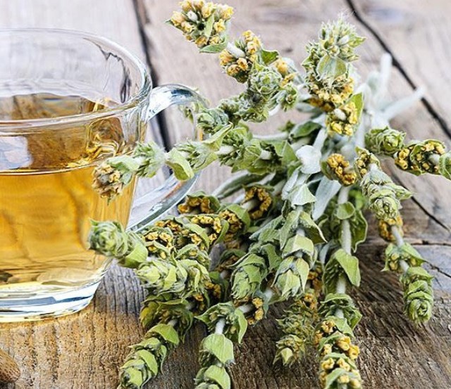 طرز تهیه چای کوهی