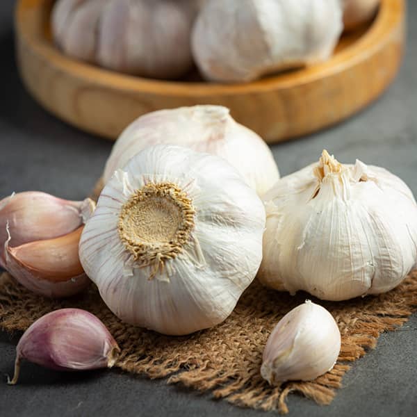 سیر برای نعوظ