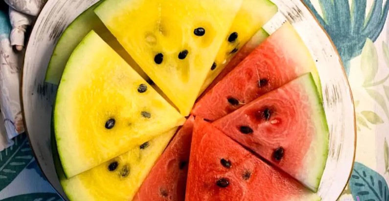 هندوانه برای بدن