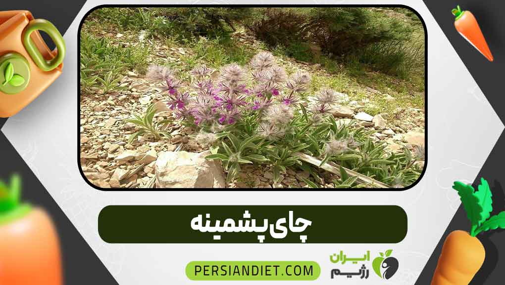 چای پشمینه