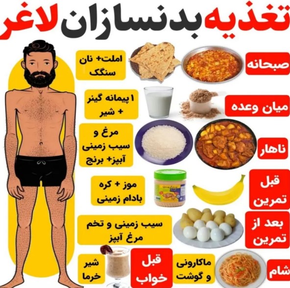 غذاهای پروتئینی برای افراد لاغر