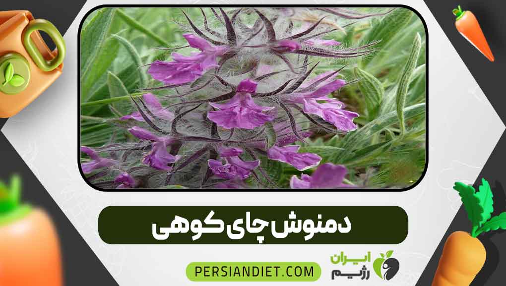 دمنوش چای کوهی دمنوش چای کوهی