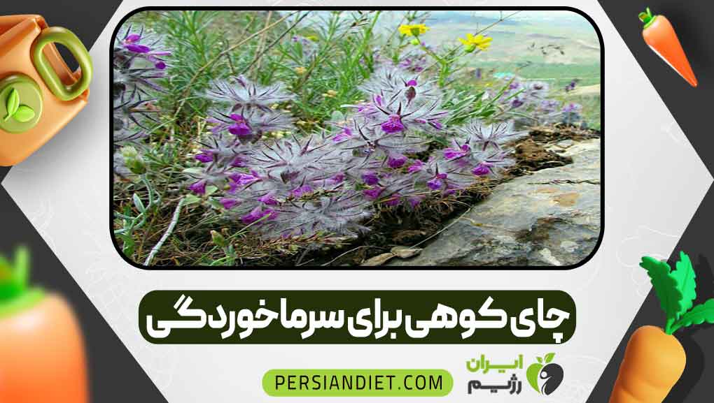 چای کوهی برای سرماخوردگی