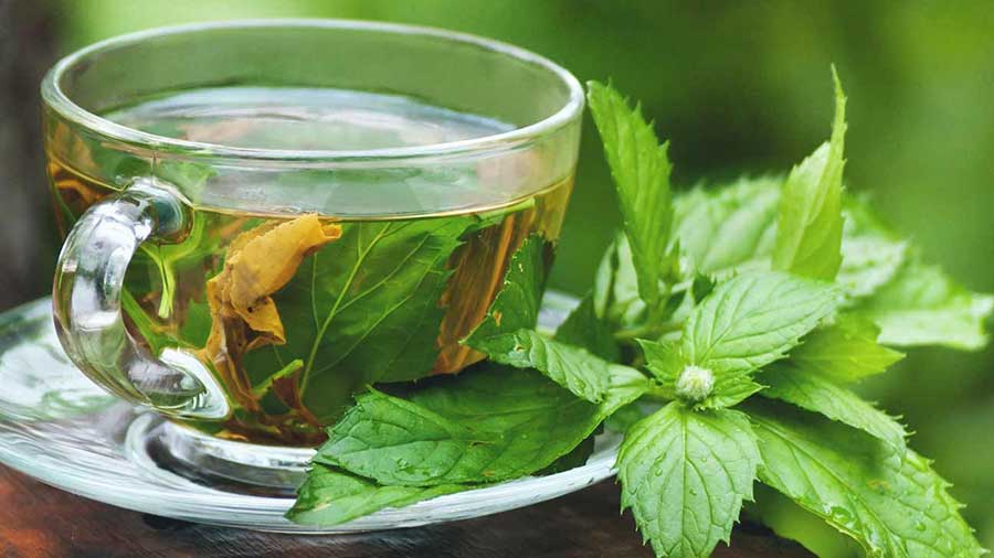 بهترین نوشیدنی‌ها برای هورمون زنانه و مردانه
