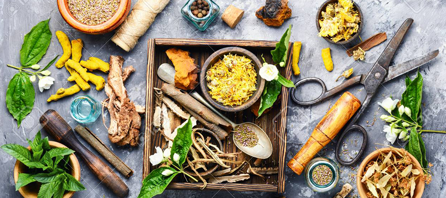 بهترین گیاهان ضد بلغم برای مصرف روزانه
