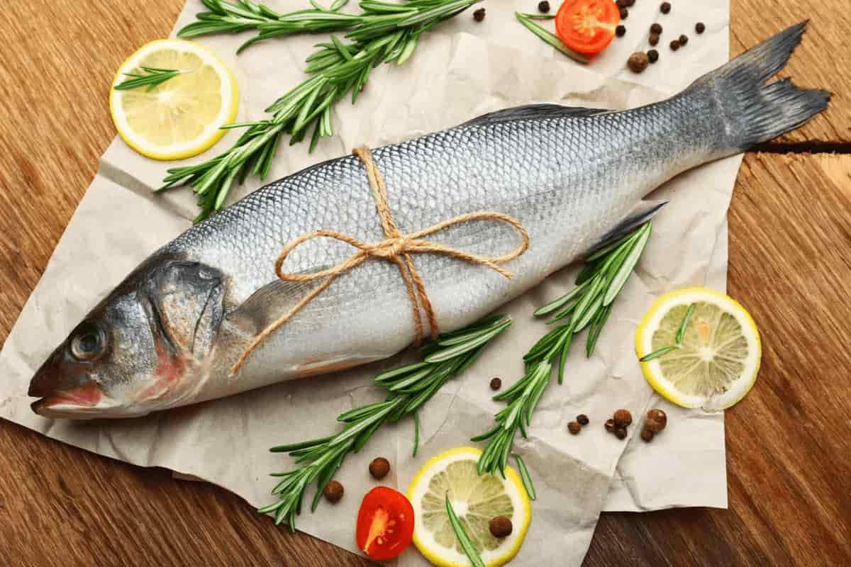 ارزش غذایی ماهی قزل آلا
