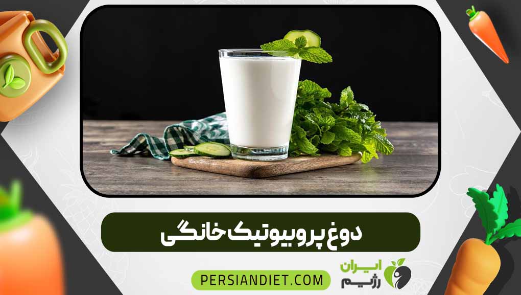 دوغ پروبیوتیک خانگی