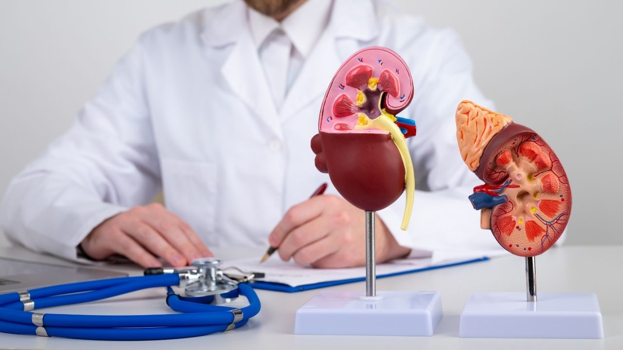 رژیم مناسب بعد از پیوند کلیه