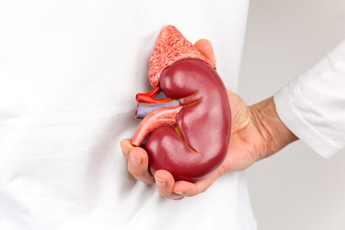 رژیم یک روزه بعد از پیوند کلیه