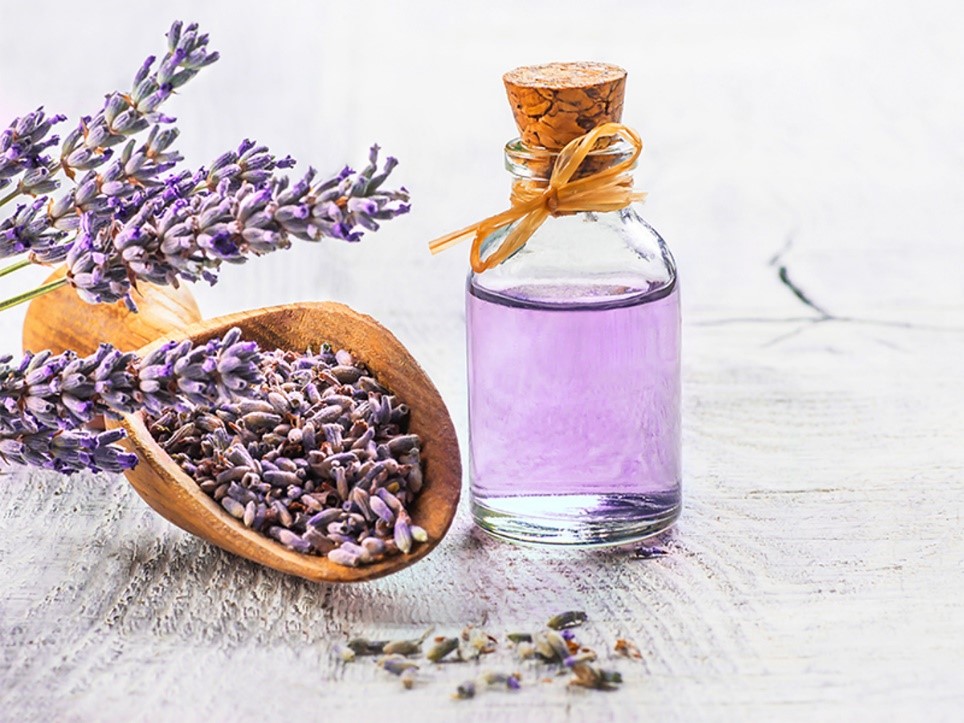 عطر اسطوخودوس