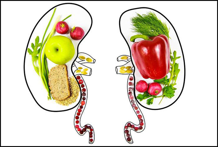 غذاهای مناسب بعد از پیوند کلیه
