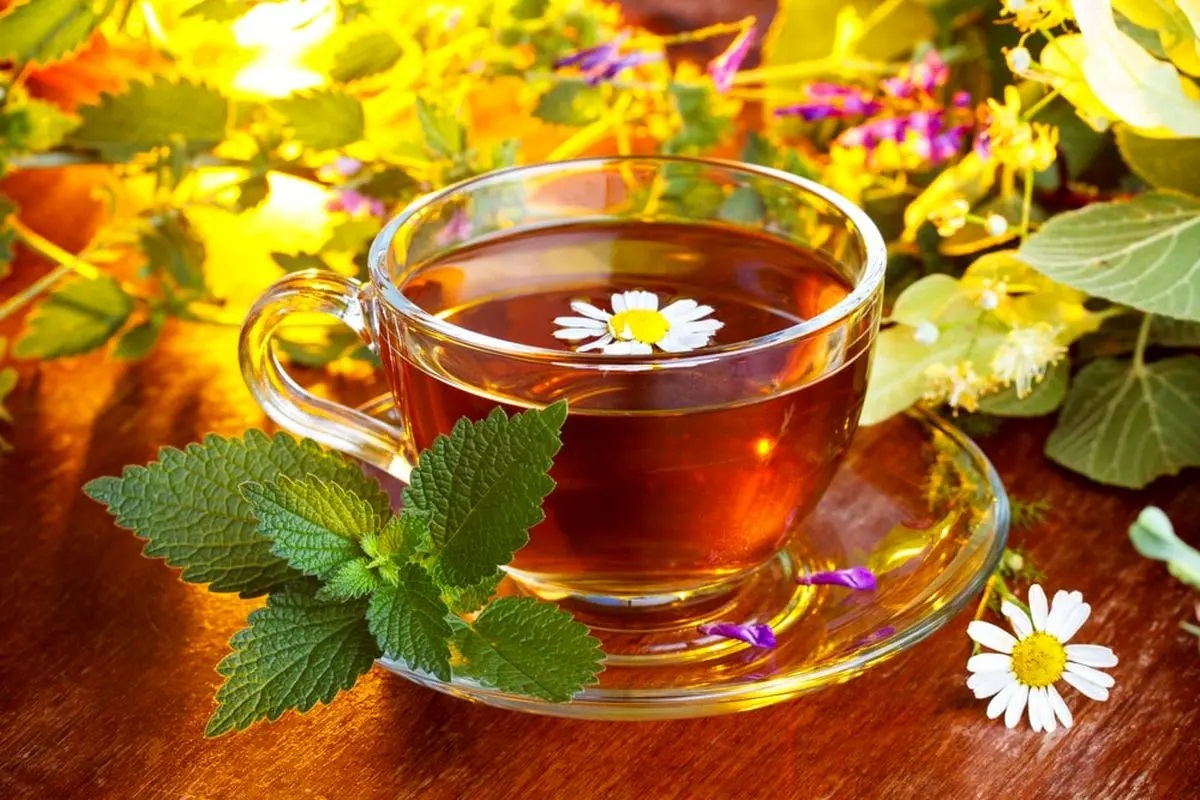 نوشیدنی‌های گیاهی برای طبع گرم